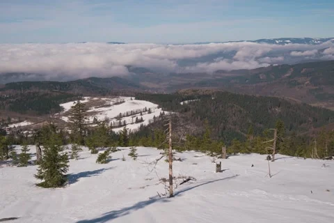 8K Low clouds rolling over the spring forest Stock Footage 255961509