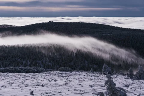 8K Low clouds went through winter forest Stock Footage 255616704