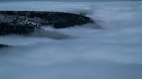 8K Midnight low clouds rolling over the dark forrest Stock Footage 255846933