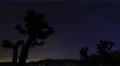 8K Milky Way Galaxy Joshua Trees 01 Time Lapse Mojave Desert California 4k or 4k+ Resolution