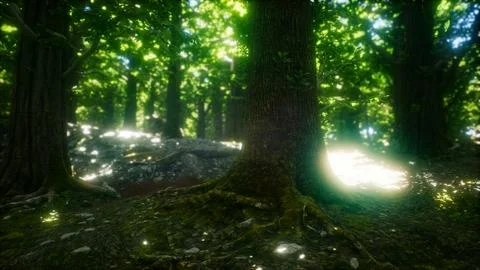 8K Morning in the Misty Spring Forest with Sun Rays Ilustración de archivo