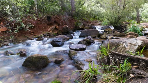 8K Motion Timelapse water stream in bush environment, 60FPS, Perth, Australia Stock Footage 215540215