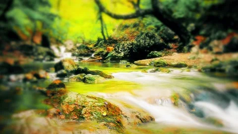8K mountain stream in the forest 库存影片 233620434