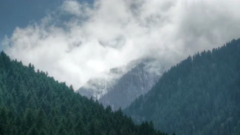 8K Pine Forest Covered Valley in Snowy Mountains at Spring Stock Footage 201368827