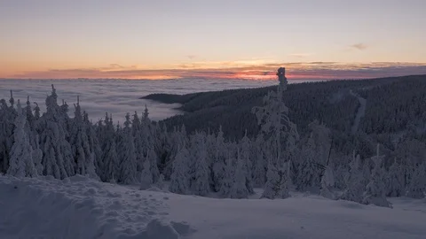 8K Sea of clouds, tree covered by snow and amazing sunset Stock Footage 108067235
