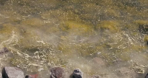 8K sea pollution, climate change, dying seas Video stock 242501342