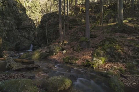 8K Shadows moving over the forest waterfall Stock Footage 255957541