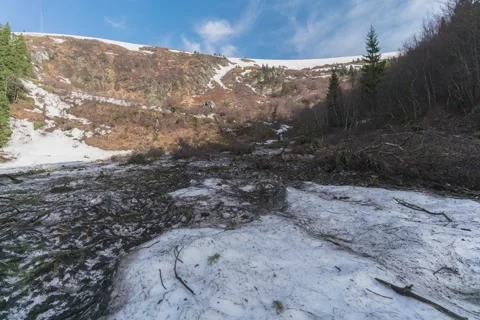 8K Spring landscape decimated by avalanche Stock Footage 256042341