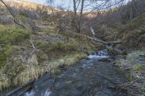 8K Spring stream Stock Footage 256153775