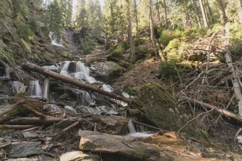 8K Spring waterfall in the forest Stock Footage 256154365