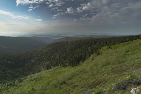 8K Summer rare meadows with gree forest Stock Footage 256149989