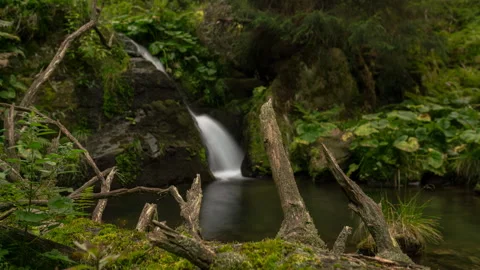 8K Summmer waterfall in the forest Stock Footage 255613521