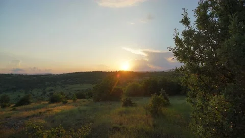 8K Sunset behind the clouds in the bush Stock Footage 171729311