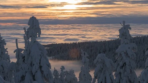 8K Sunset colours, sea of clouds, low clouds and frozen trees Stock Footage 108126238