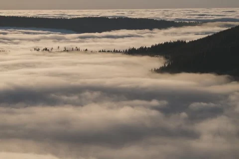 8K Sunset low clouds rolling through the forest Video stock 255963741