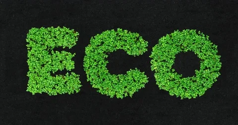 8K time lapse long loop growing seeds ECO letters Stock Footage 84214413