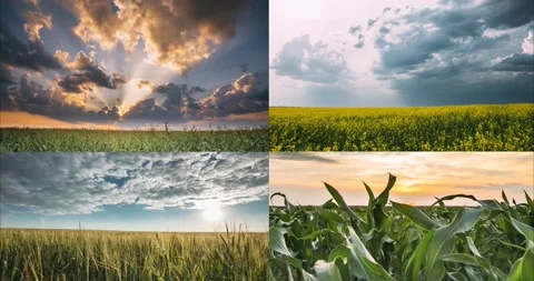 8K Time Lapse, Timelapse, Time-lapse. 4K Agricultural agriculture And Weather Stock Footage