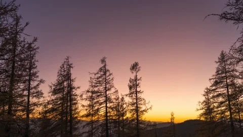 8K Time Lapse Trees Mountain Sky After Sunset Stock Footage 119008942