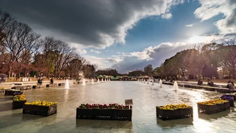 8k Time-lapse in Ueno park(上野公園), Tokyo Japan Stock Footage 163942649