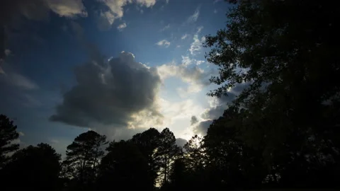 8K Timelapse Georgia Tree Clouds Stock Footage 189989501