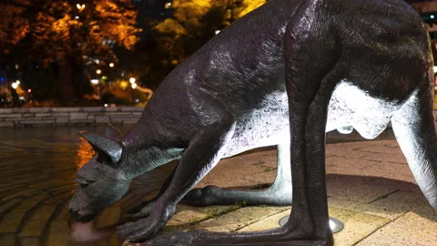 8K Timelapse Kangaroo Statue drinking water Australia Stock Footage 220139796