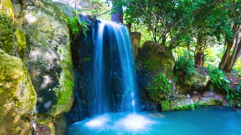 8K Timelapse Waterfall in forest environment, Perth, Australia 60FPS Video stock 215541474