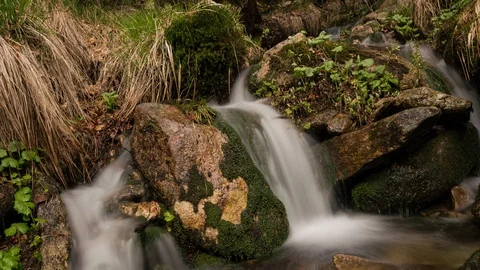 8K Tiny waterfall with moss Stock Footage 125956295