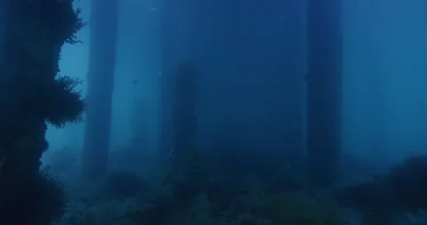8K Of Underwater Shot, Rye Pier In Port Phillip Bay 스톡 동영상 331572035