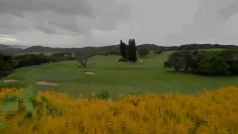 8k vid of a golf coarse with pan and lush green fields Stock Footage 222867095