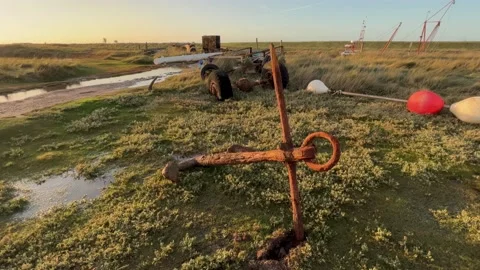 8K Video Clip. Old rusty anchor at a warm sunset on a coastal marshlands 库存影片 236057291
