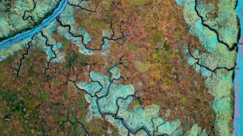 8K Video Clip. Top down aerial view of the coastline of Gibraltar Point nea.. 스톡 동영상 236036409