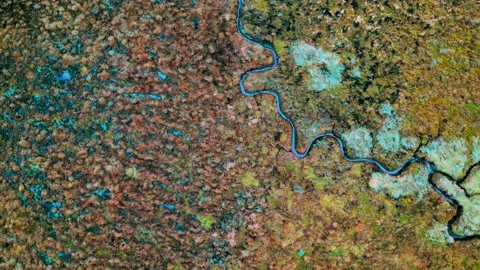 8K Video Clip. Top down aerial view of the coastline of Gibraltar Point nea.. Stock Footage 236036553