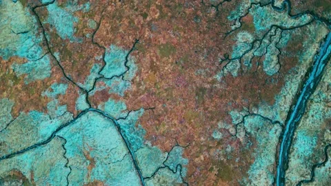 8K Video Clip. Top down aerial view of the coastline of Gibraltar Point nea.. Stockbeeldmateriaal 236036969