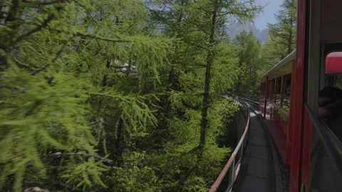 8K video red rack train montenvers green pines in chamonix-mont-blanc valley Stock Footage 223332880