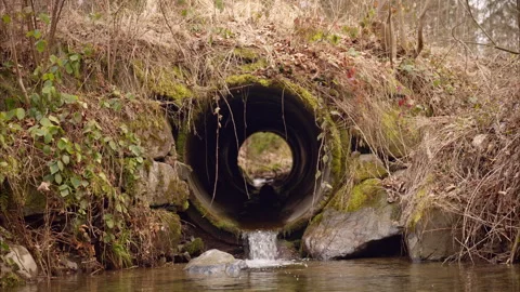 8K Water Flows Through a Circular Concrete Pipe Surrounded by Natural Vegetation Stock Footage 304436137