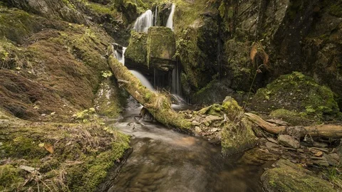 8K Waterfall with moss and fallen tree Stock Footage 126020670