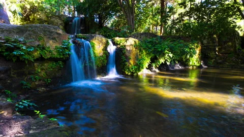 8K Waterfall Motion timelapse 60FPS, John Oldham forest Perth City, Australia Stock Footage 212092686