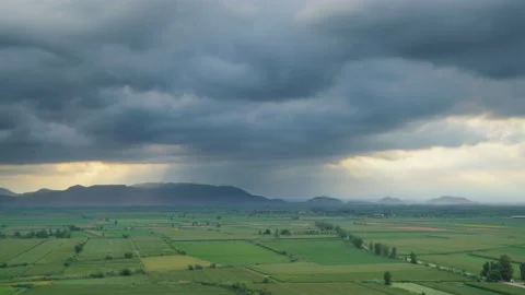 8K Wide Flat Plain Covered With Green Fields Stock Footage 170463654