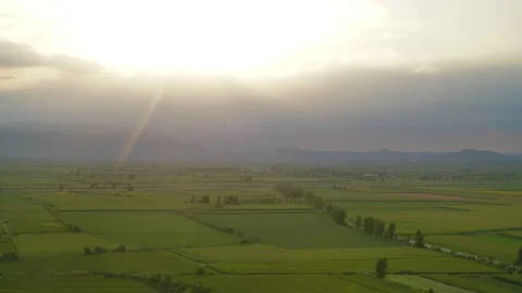 8K Wide Flat Plain Covered With Green Fields Stock Footage 170463756