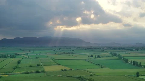 8K Wide Flat Plain Covered With Green Fields Stock Footage 171727146