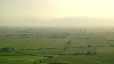 8K Wide Flat Plain Covered With Green Fields Stock Footage 171741052