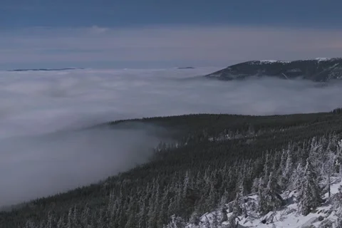 8K Winter low clouds rolling over the forest, illuminated by full moon Stock Footage 255930913