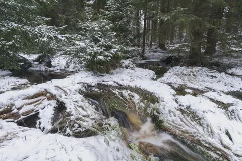 8K Winter stream with forest and snow around Stock Footage 256083381