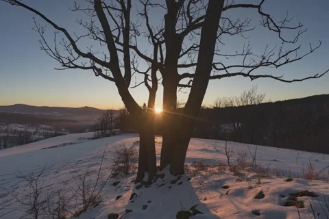 8K Winter sunset between the tree Stock Footage 270418364