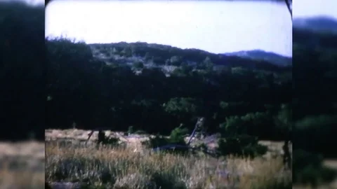 8mm 1960 wilderness Stock Footage