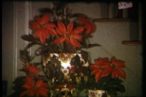 8mm christmas 2 Stock-Footage 506973