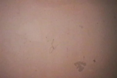 8mm Film Static (Authentic Vintage Film) Stock Footage