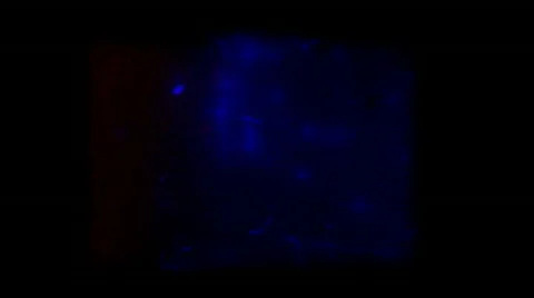 8mm Light Flare Stock Footage 512121