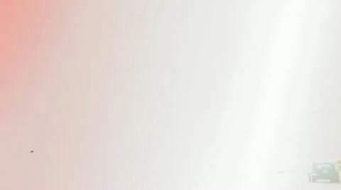 8mm Palm Trees Stock Footage 22019633