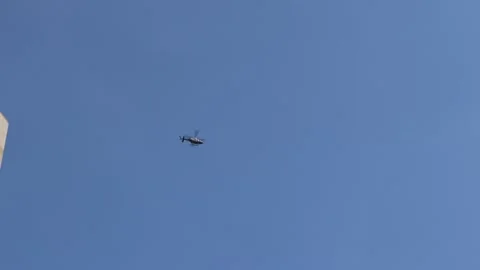 8O8A1120 Stock Footage 251375416